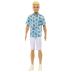 Mattel Ken® Fashionistas No211