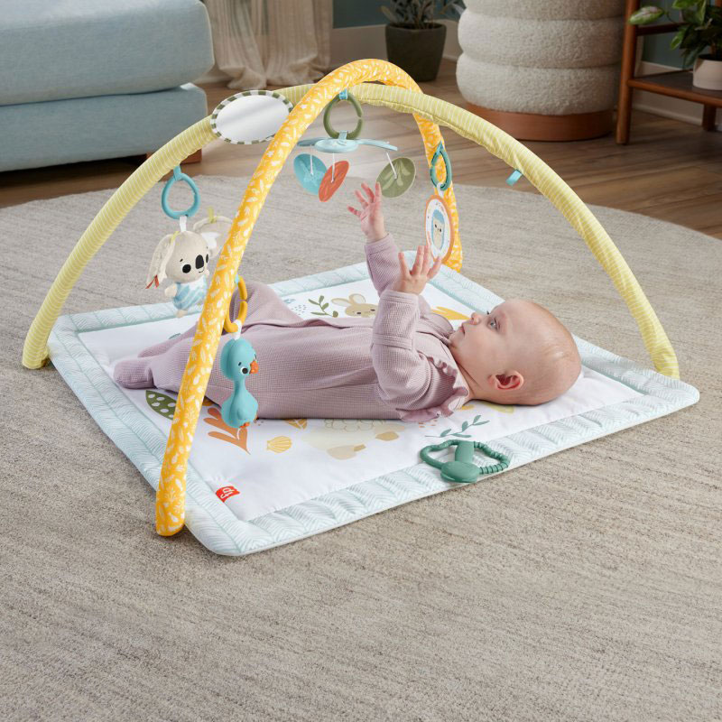 Fisher Price Sensimals Γυμναστήριο Οι πρώτες μου αισθήσεις HRB15