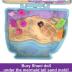 Λαμπάδα Mattel Polly Pocket Μίνι Ο Κόσμος της Polly Σετ Seaside Puppy Ride Compact