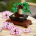 Lego Creator Expert Bonsai Tree 10281