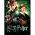 Wrebbit Puzzle Harry Potter Ron Weasley 500 τμχ WR005004