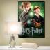 Wrebbit Puzzle Harry Potter Ron Weasley 500 τμχ WR005004